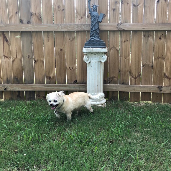 🌟❤️JEFFERSON❤️🌟 - Picture 8 of 13